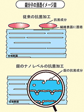 銀分子の浸透イメージ