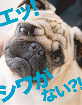 エッ!シワがない?!